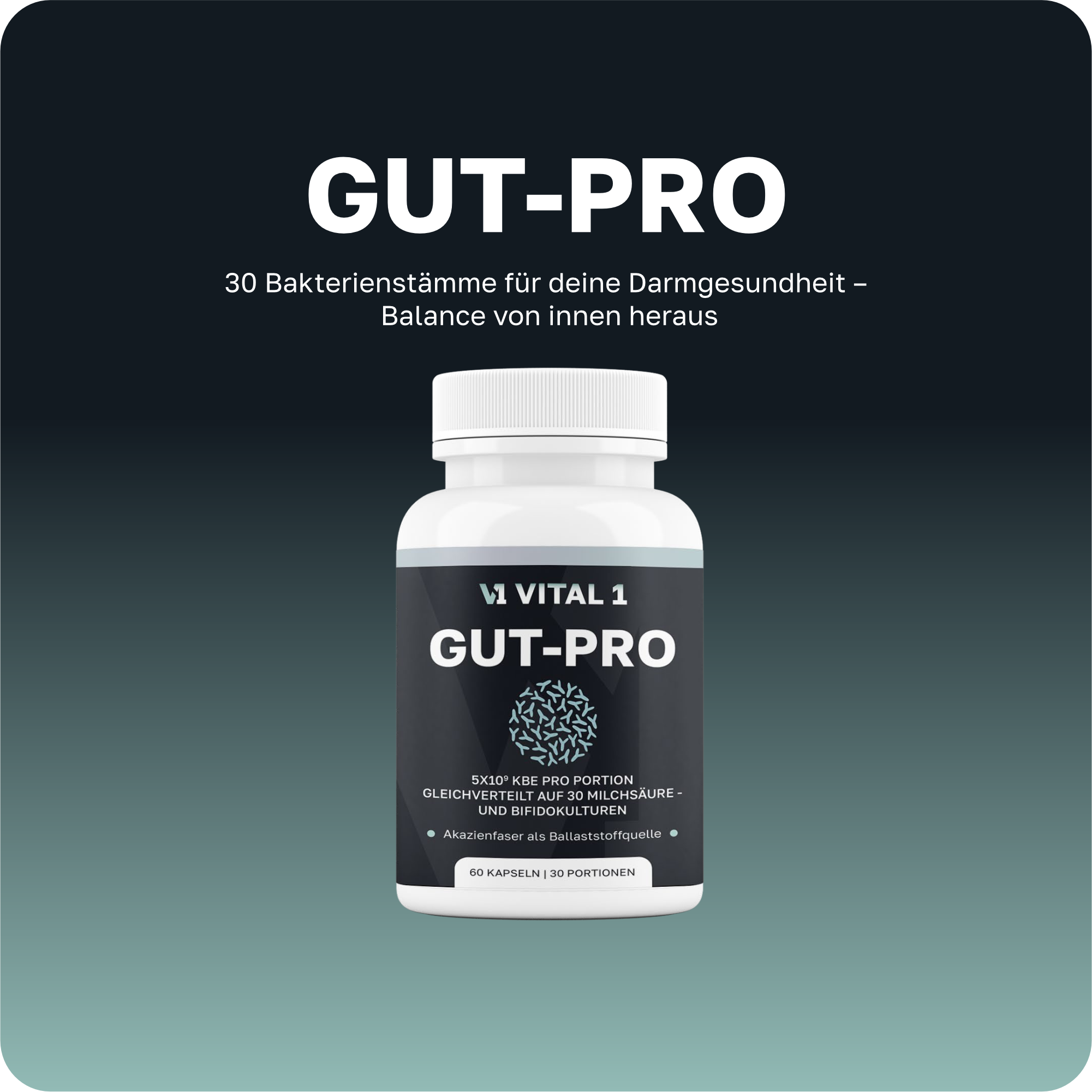 GUT-PRO_1.png?v=1740140713\u0026width=1920