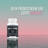 Vital1 Gut Pro - Dein probiotikum für echte Vielfalt