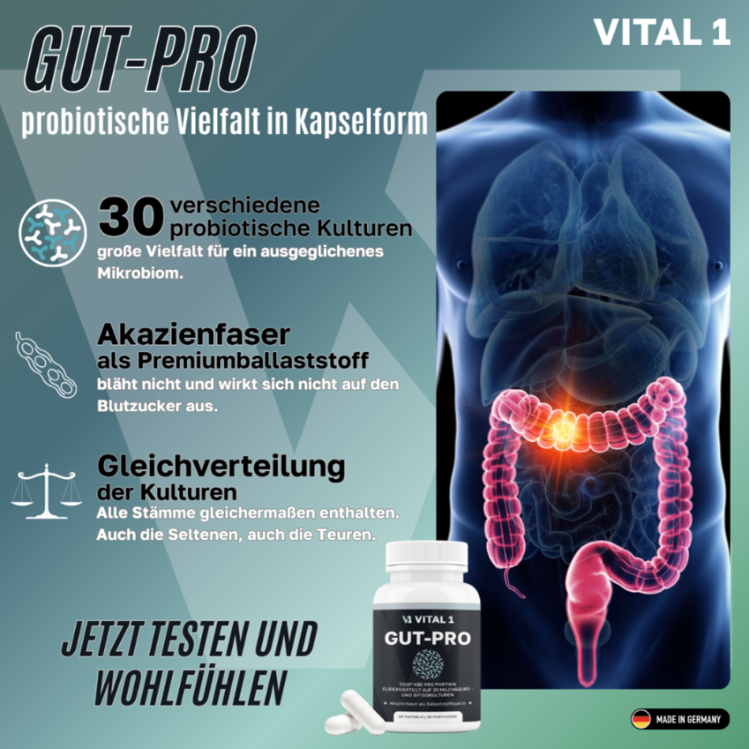 VITAL 1 Gut-Pro mit 30 probiotischen Kulturen und Akazienfasern für eine ausgewogene Darmflora und ein vielfältiges Mikrobiom.
